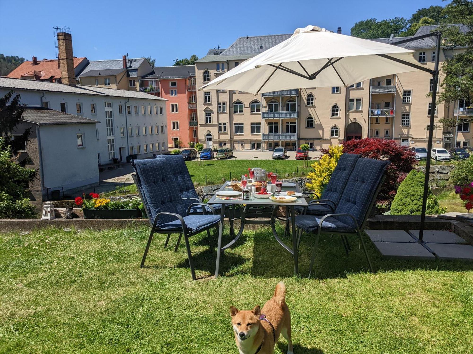 F4 - Urlaubsmagie - Grosse Wohnung Fuer Bis Zu 10 Personen Зебниц Экстерьер фото