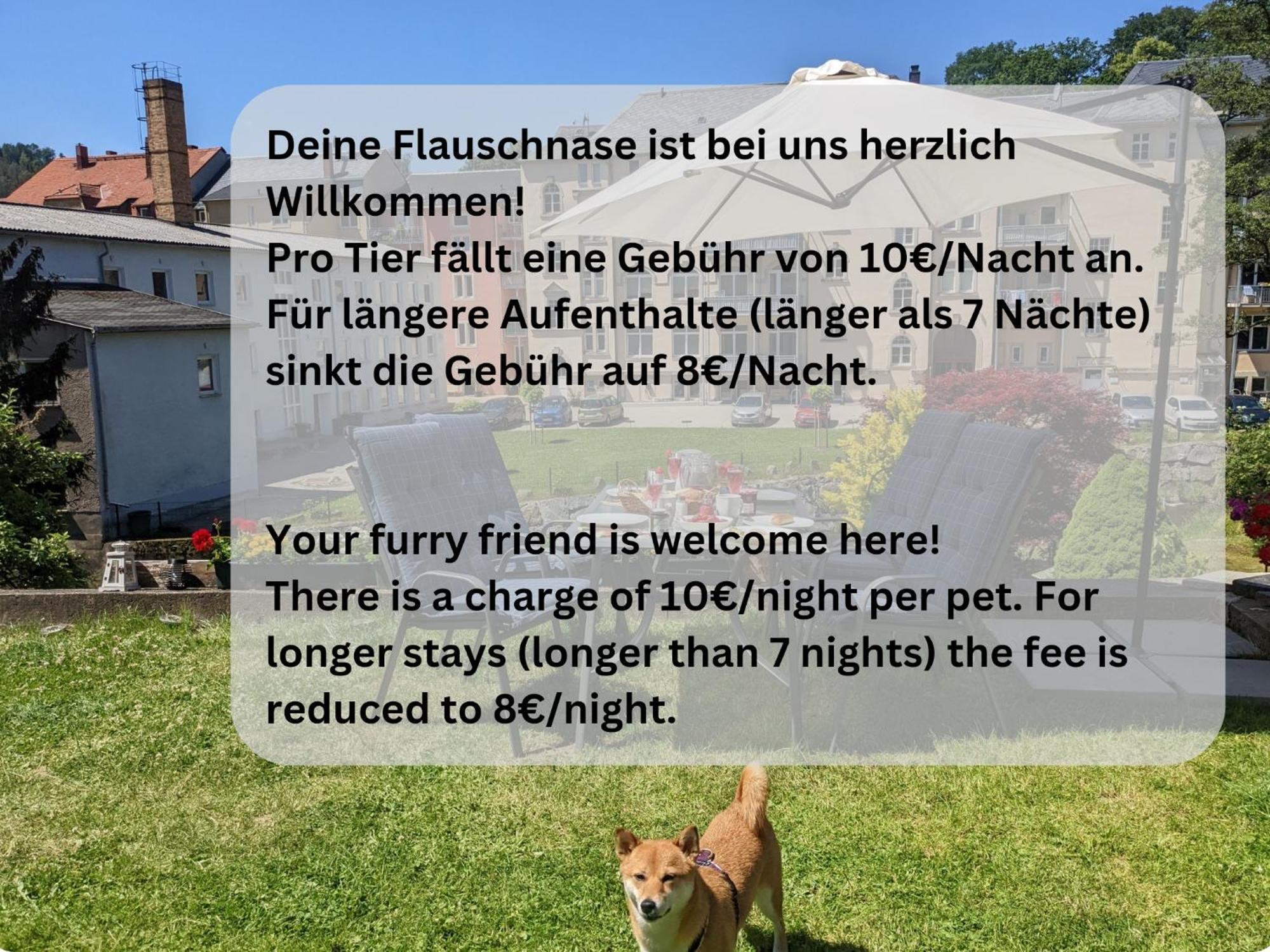 F4 - Urlaubsmagie - Grosse Wohnung Fuer Bis Zu 10 Personen Зебниц Экстерьер фото